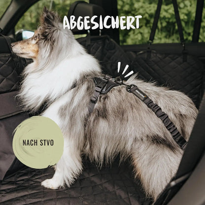 Hundegurt fürs Auto - Verstellbarer Anschnallgurt - Sicherheitsgurt mit Rückdämpfung für alle Hunderassen & Autotypen